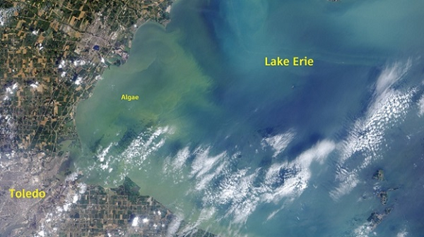 Satelitski snimak štetnog cvetanja algi u jezeru Iri koje je kontaminiralo vodosnabdevanje Toleda u avgustu 2014. godine. Ljubaznošću NASA GFSC.